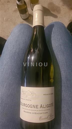 Borgoña Borgoña-Aligoté Domaine L'Écette Raisins d'Exception 2021