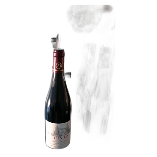 Bourgondië Givry Domaine Michel Moreau Clos Saint-Antoine 2020