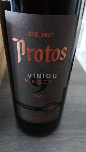 Castilien og León Ribera del Duero Protos 9 Meses 2022