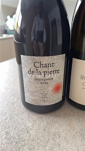Thung lũng sông Loire Anjou-gamay Terres Avec Vues Chant de la pierre 2023