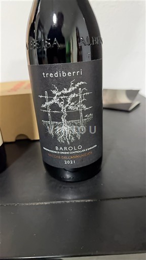 Piemonte Barolo Trediberri 2021