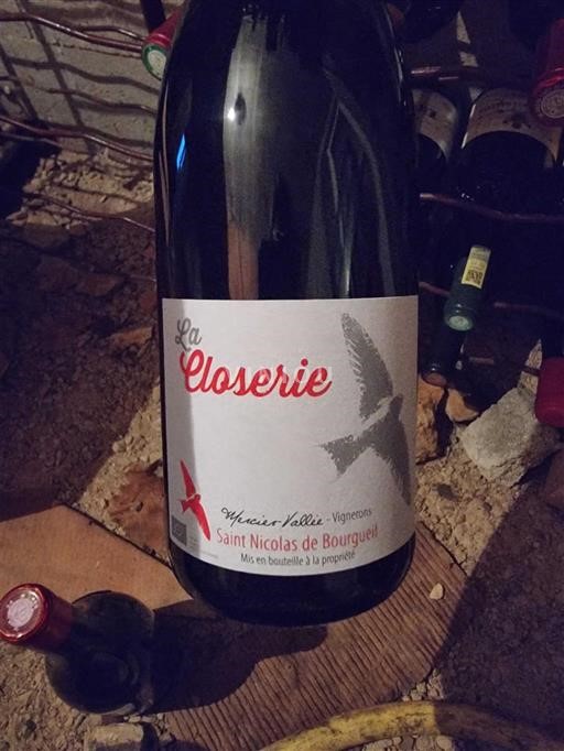 Loiredalen Saint-Nicolas-De-Bourgueil Vallée La Closerie 2024