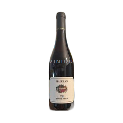 Vénétie Không được chỉ định Maculan Pinot Nero 2022