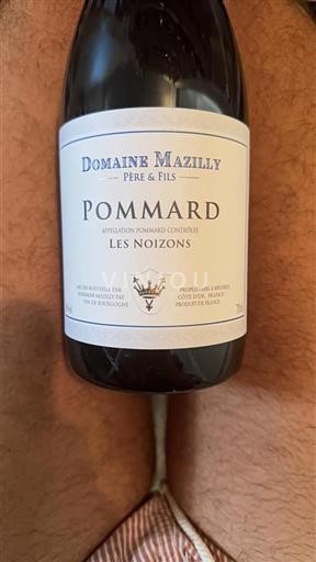 Bourgogne Pommard Domaine Mazilly Père & Fils Les Noizons Non Millésimé