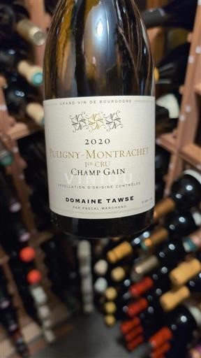Bourgondië Puligny-Montrachet Premier Cru Domaine Tawse Champ Gain 2020