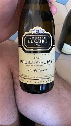 Burgund Pouilly-fuissé Domaine Luquet Terroir 2023