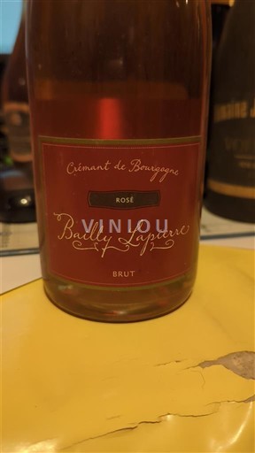 Burgundija Crémant de Bourgogne Bailly-Lapierre Neleten.