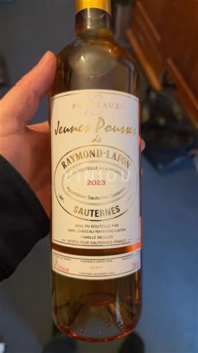 Bordeaux Sauternes Château Raymond Lafon Jeunes Pousses 2023