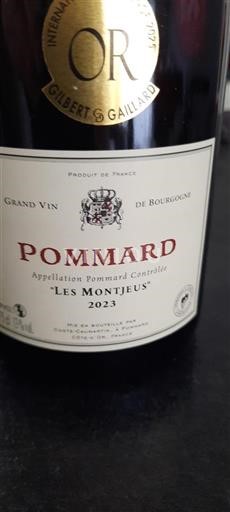 Burgundy Pommard Domaine Coste-Caumartin Les Montjeus 2023