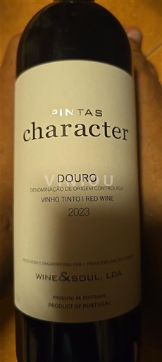 Portogallo Douro Wine & Soul Pintas Character 2023
