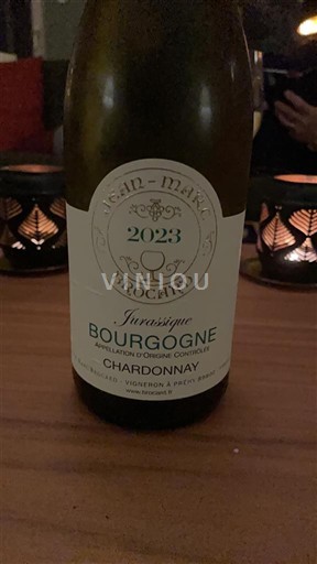 Burgundsko JEAN-MARC BROCARD Jurassique 2023