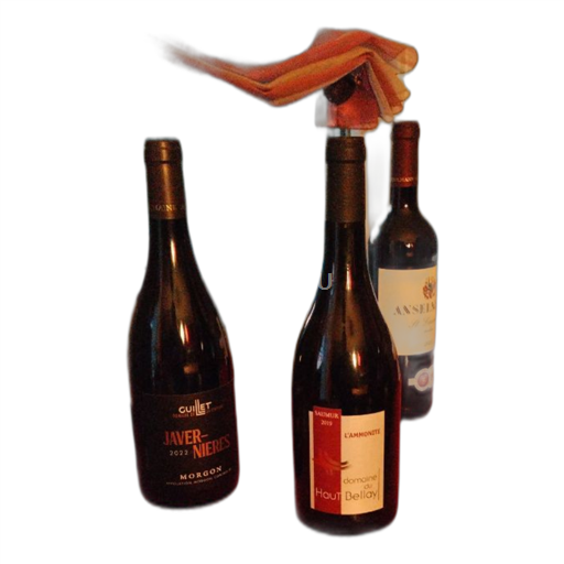 Loire-dalen Saumur Domaine Haut Bellay L'Ammonite 2019