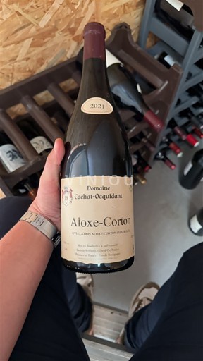 Bourgogne Aloxe-Corton Domaine Cachat-Ocquidant 2021