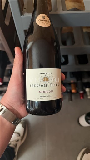 Beaujolais Morgon Domaine Pressoir Fleuri Brunel-Meziat 2023