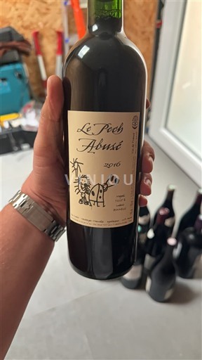 Sydväst Sudvästra Frankrike Pech Abusé 2016