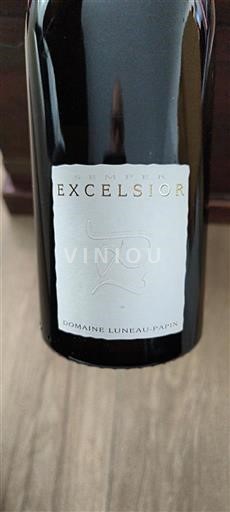 Loirevallei Muscadet-Sèvre-et-Maine Domaine LUNEAU-PAPIN Excelsior 2021