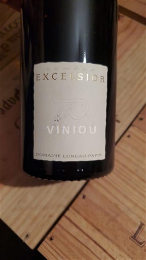 Valea Loarei Muscadet-Sèvre și Maine Domaine LUNEAU-PAPIN Excelsior 2021