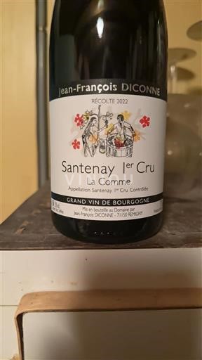 Burgundy Santenay Premier Cru Jean-François Diconne La Comme 2022