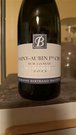 Burgundija Saint-Aubin Premier Cru Domaine Bertrand Bachelet Sur Gamay 2023