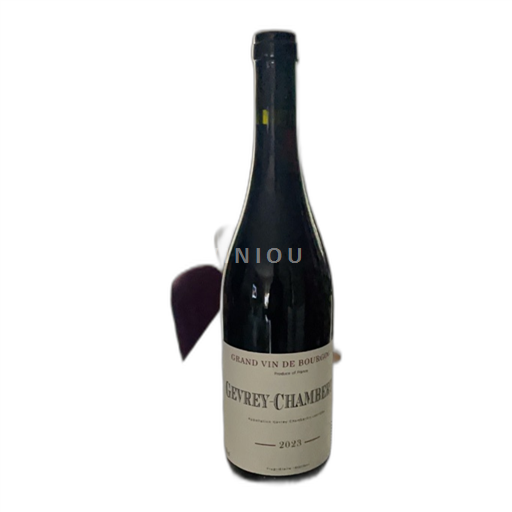 Burgundi Gevrey-Chambertin REGIS BOUVIER 2023