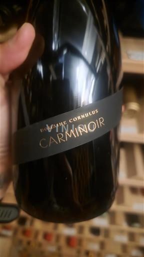 Valais Ikke specificeret Domaine Cornulus Carminoir 2023