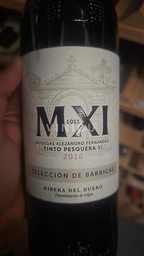 Castille et León Ribera del Duero Bodegas Alejandro Fernández MXI 2018