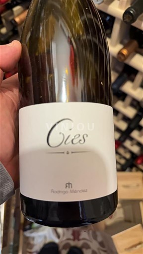 Galicia Rías Baixas Rodrigo Méndez Cies 2023