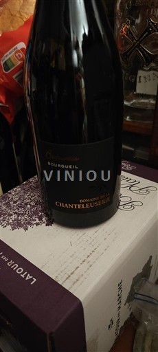 Loiren laakso Bourgueil Domaine La Chanteleuserie Beauvais 2019