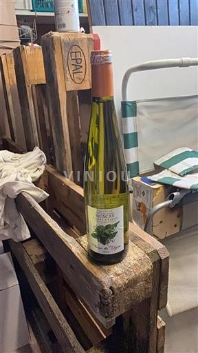 Languedoc và Roussillon Côtes de Thau Plaisir de Vigne 2024