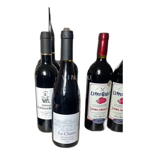 Beaujolais Morgon Château La Chaize Les Jardins de La Chaize 2020