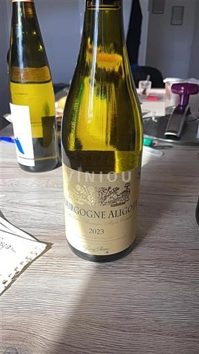 Bourgogne Bourgogne-aligoté Pierre Chavin 2023