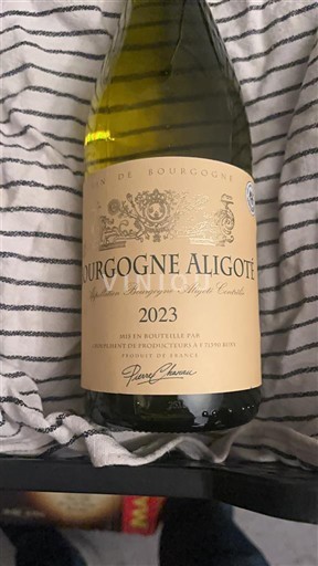Bourgogne Bourgogne-aligoté Pierre Chavin 2023