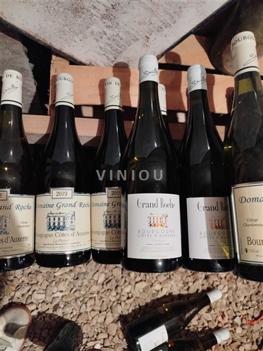 Burgundi Bourgogne Côtes d'Auxerre Domaine Grand Roche 2019