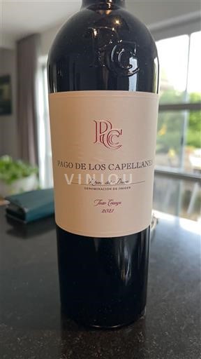 Castilien og León Ribera del Duero Pago de los Capellanes Finca El Picón 2021