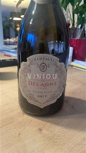 Champagne Delagne Tradition Grande Niet-geïntegreerd