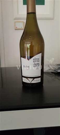 Jura Côtes-du-jura Domaine La Pinte Savagnin 2018