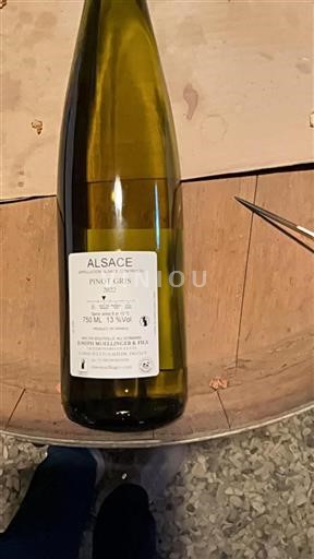 Alsace Joseph Moellinger & Fils Pinot Gris 2022