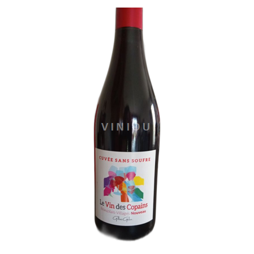 Beaujolais Ikke specificeret Gilles Gelin Sans Soufre Ikke årgangsbestemt