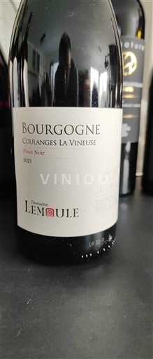 Borgonha Não especificado Domaine Lemoule Pinot Noir 2023