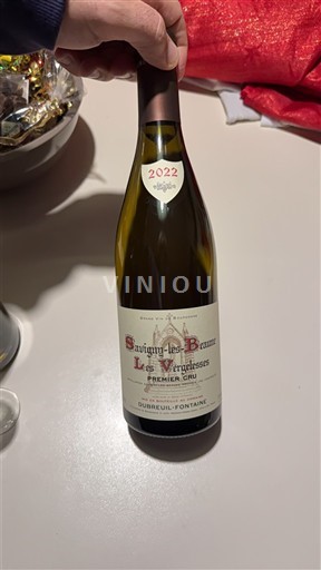 Burgundy Savigny-lès-Beaune Premier Cru Dubreuil-Fontaine Les Vergelesses 2022