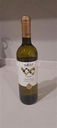 Trentino-Južna Tirolska Zgornje Poadižje Wilhelm Walch Chardonnay 2024