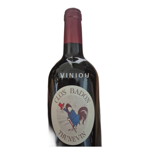 Bordeaux Saint-Émilion Clos Badon Thunevin Grand Cru Classé 2019