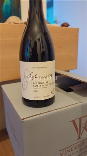 Borgogna Côtes-du-couchois Vincent Royet Expression 2023
