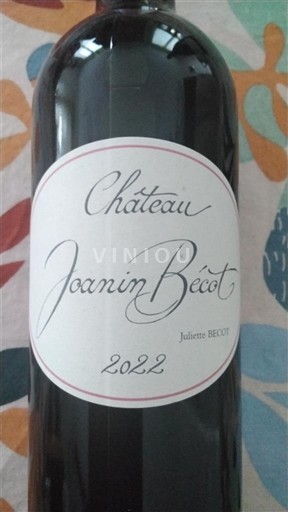 Bordeaux Castillon-côtes-de-bordeaux Château Joanin Bécot 2022