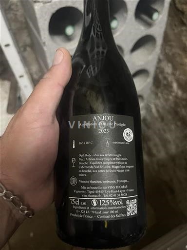 Údolí Loiry Anjou Vins Thomas 2023