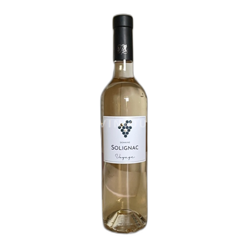 Provence, hạ lưu Rhône, Corse Var Domaine Solignac Voyage Không niên vụ