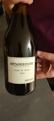 Bordeaux Berticot Métamorphose 2024