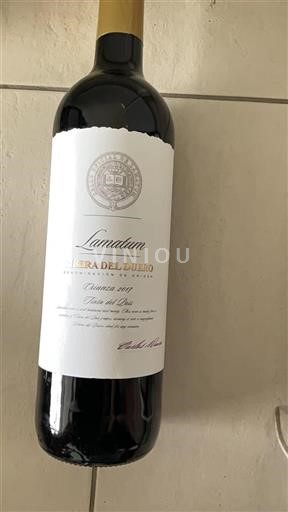 Castille et León Ribera del Duero Lamatum 2017