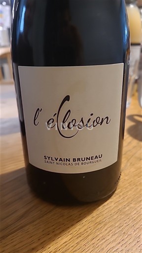 Loiredalen Saint-Nicolas-De-Bourgueil Sylvain Bruneau L'Éclosion 2022