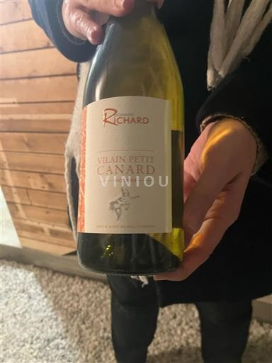 Valle del Loira Viena Domaine Richard Vilain Petit Canard 2023